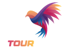 Birdie golf tour logo